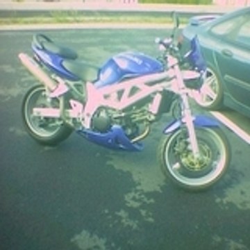 lachose65
