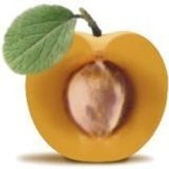 Max Formisano Training Coaching & Consulting