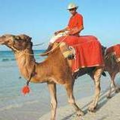 Abdel MoTlab Baaboura