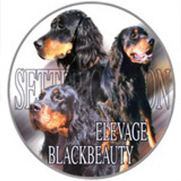 sylvia et charles KUNG