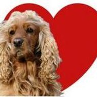 Prunelle Douce Cockerette