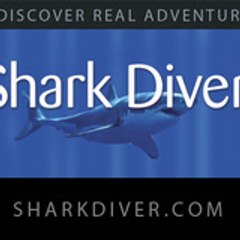 sharkdiver68