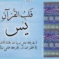 yamin
