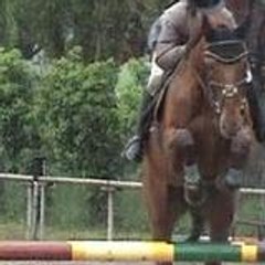 Trotteursport