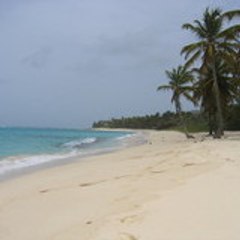 renaud