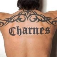 Charnes char