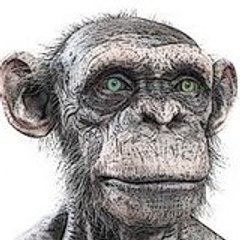 dailytest1