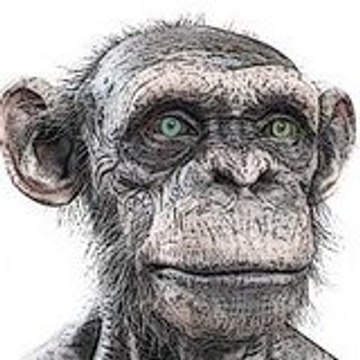 dailytest1