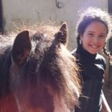 mydreamhorses