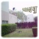 lucas54500