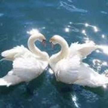 le_pompier_67