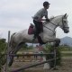 horseman05