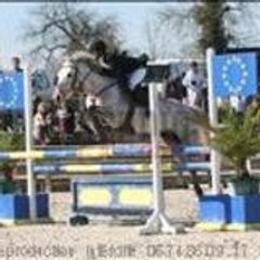 laurehelenefremondiere