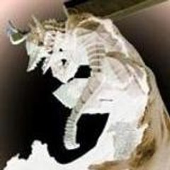 spike_f_spiegel