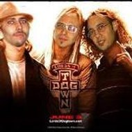 Mustapha Mustapha Kamel NABI