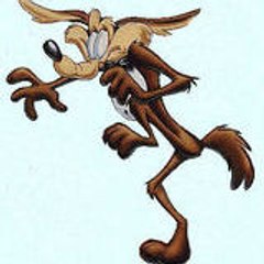 coyote501