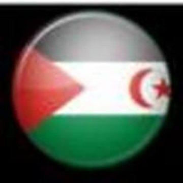 sahraoui  )