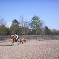 loubine33
