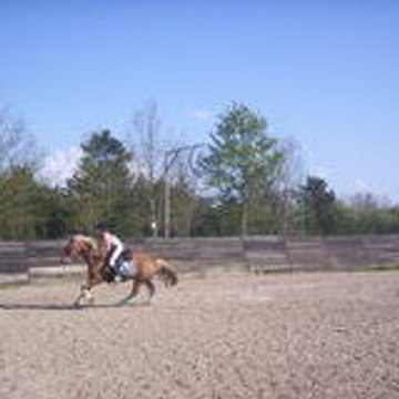 loubine33