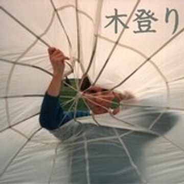 KINOBORI