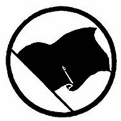 anarchopunk-63