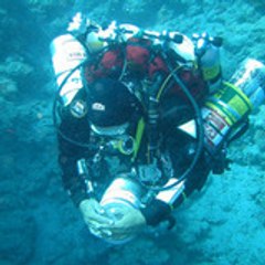 diving_grome