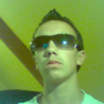 steneur