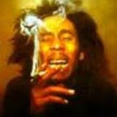 Lil-lion972