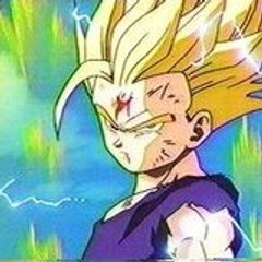 Dbz fan