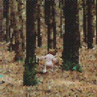 Principlesofgeometry