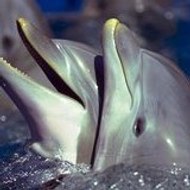 marie henriette beugnet