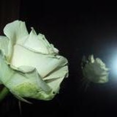 yousfihamza