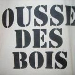 suce les ours