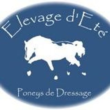 Elevagedete