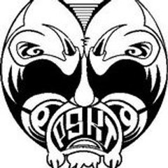 patpskt