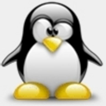 florianpingu