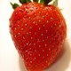 strawberrycurrant