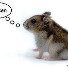 Splejsen