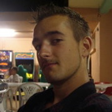 david