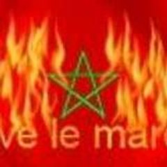 mzoudi