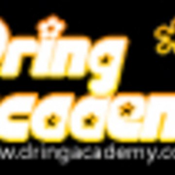 DringAcademy_com