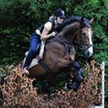 lovehorse13