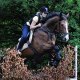 lovehorse13