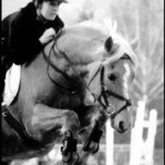 ignes73