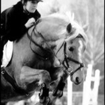 ignes73