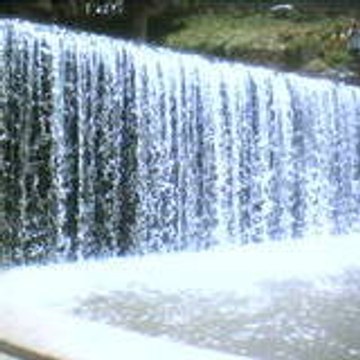 mellalya