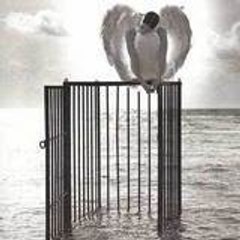 CagedWings