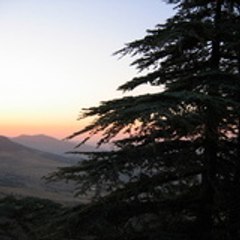MAHOUI