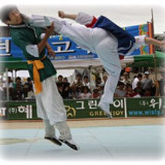 TAEKKYON 택견
