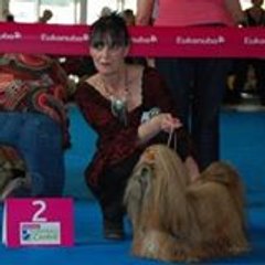 SYLVIANE66 Sylviane Botte